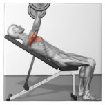 Incline Bench Press 3 Tile<br><div class="desc">The muscles involved in the bench press incline exercise. The agonist (active) muscles of the body are highlighted. | MedicalRF.com | AssetID: 77766897</div>
