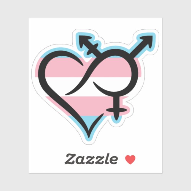 Inclusivity & Love Symbol TG Flag Sticker (Sheet)