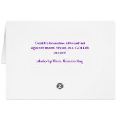 Incoming storm (Back Horizontal)