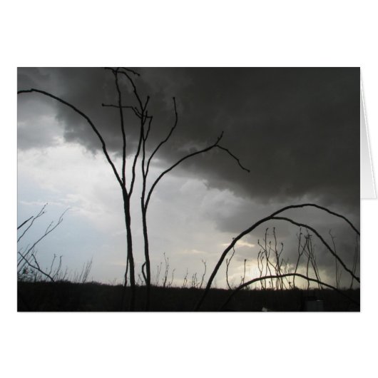 Incoming storm (Front Horizontal)