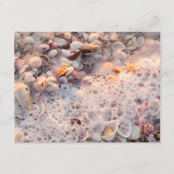 Incoming Surf And Seashells On Sanibel Island Postcard by tothebeach at Zazzle