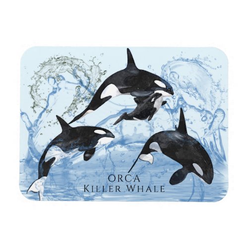 Incredible Black and White Watercolor Orcas Magnet