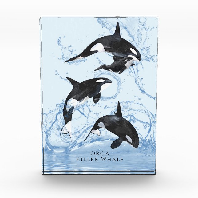 Incredible Black and White Watercolor Orcas Photo Block (Front)