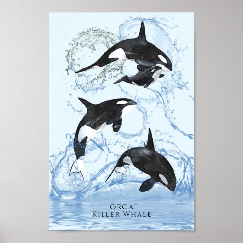 Incredible Black and White Watercolor Orcas Poster