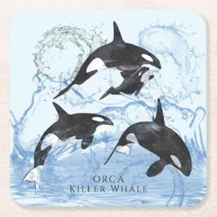 Incredible Black and White Watercolor Orcas Square Paper Coaster