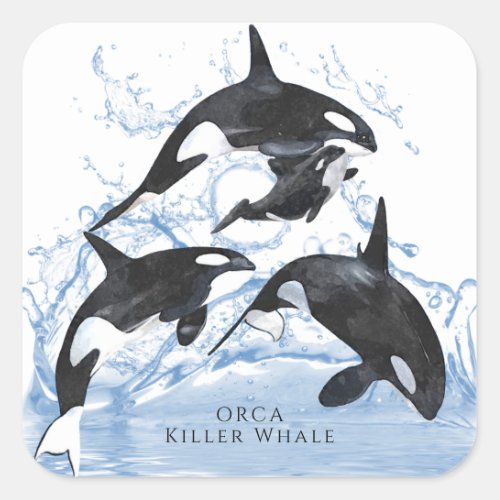 Incredible Black and White Watercolor Orcas Square Sticker
