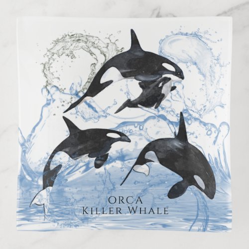 Incredible Black and White Watercolor Orcas Trinket Tray