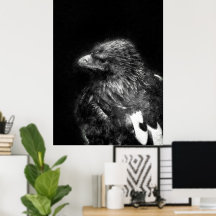 incredible eagle fine detail sketch art