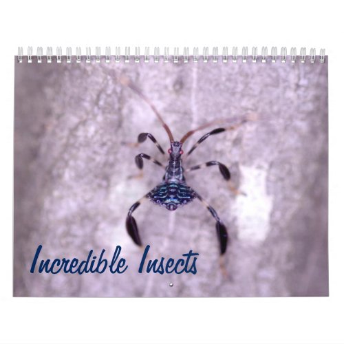 Incredible Insects Calendar