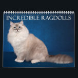 Incredible Ragdolls Wall Calendar<br><div class="desc">Beautiful Ragoll Cat wall calendar,  featuring twelve gorgeous Ragdoll cats. Perfect gift for cat lovers.</div>