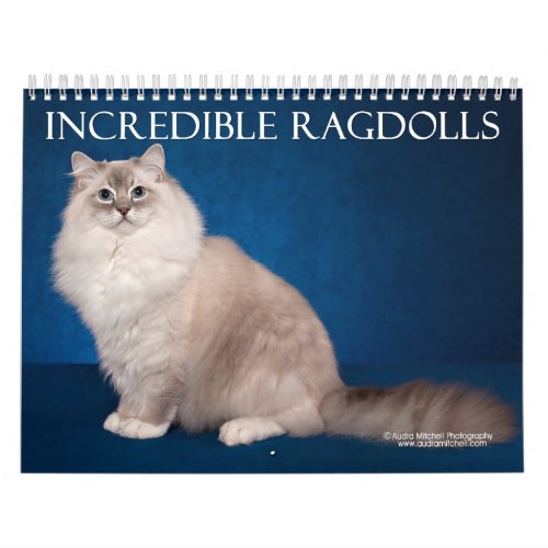 Incredible Ragdolls Wall Calendar