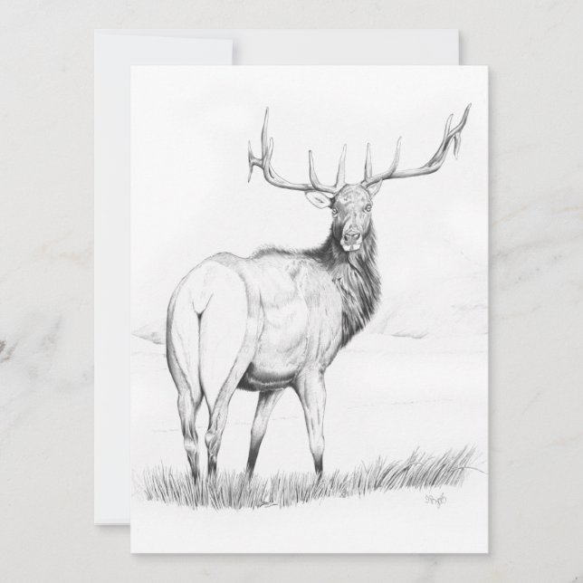 Indecision - 5.5" x 7.5" Invitation (Front)