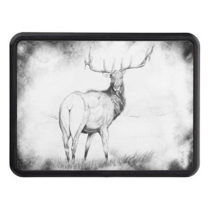 Indecision in the Mist Hitch Cover