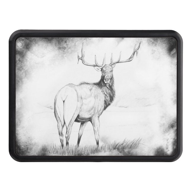 Indecision in the Mist Hitch Cover (Front)