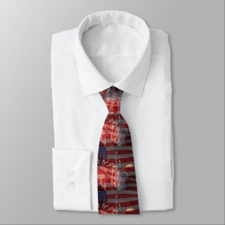 Independence Day 4th of July Fireworks Neck Tie