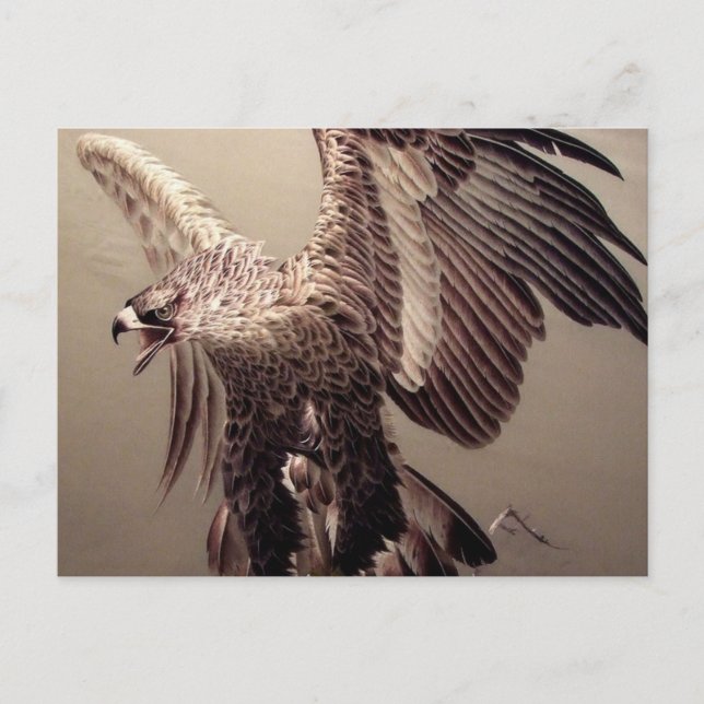 Independence day Patriotic Embroidery Eagle Postcard (Front)