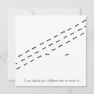 Independent Ants Postcard