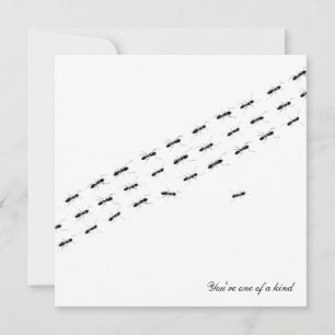 Independent Ants Postcard