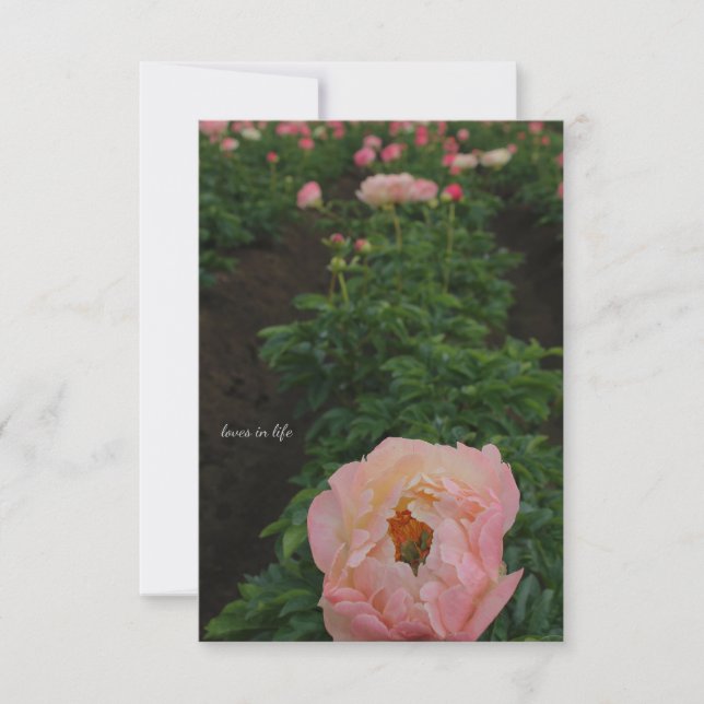 Independent Pink Peony Note Card (Front)