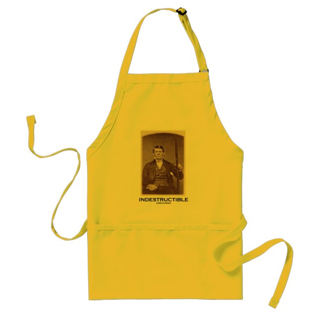 Indestructible (Phineas Gage) Adult Apron (Front)