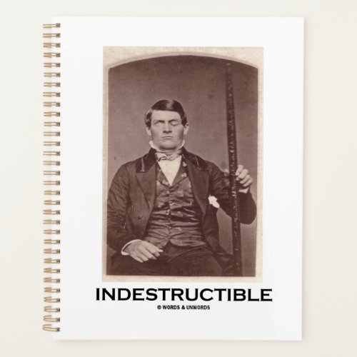 Indestructible Phineas Gage Cerebral Localization Planner