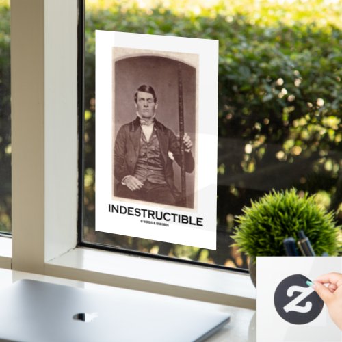 Indestructible Phineas Gage Cerebral Localization Window Cling