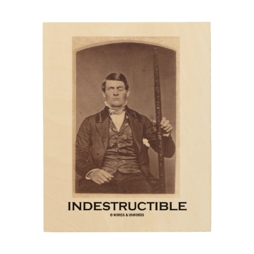 Indestructible Phineas Gage Psychology Humor Wood Wall Art