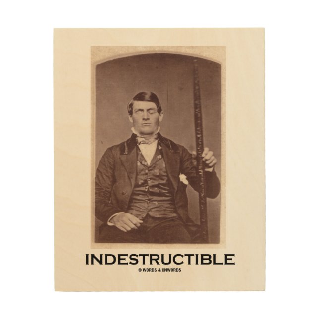 Indestructible Phineas Gage Psychology Humor Wood Wall Art (Front)