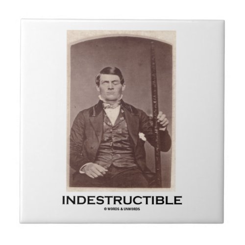 Indestructible Phineas Gage Tile