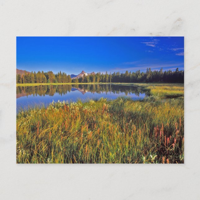 Index Peak reflects into Mud Lake on the Postcard (Front)