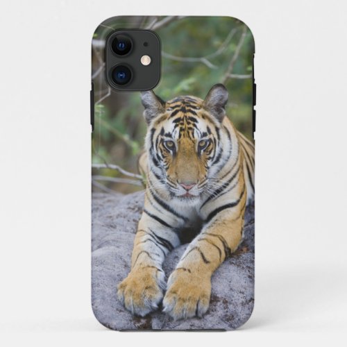 India Bandhavgarh National Park tiger cub iPhone 11 Case