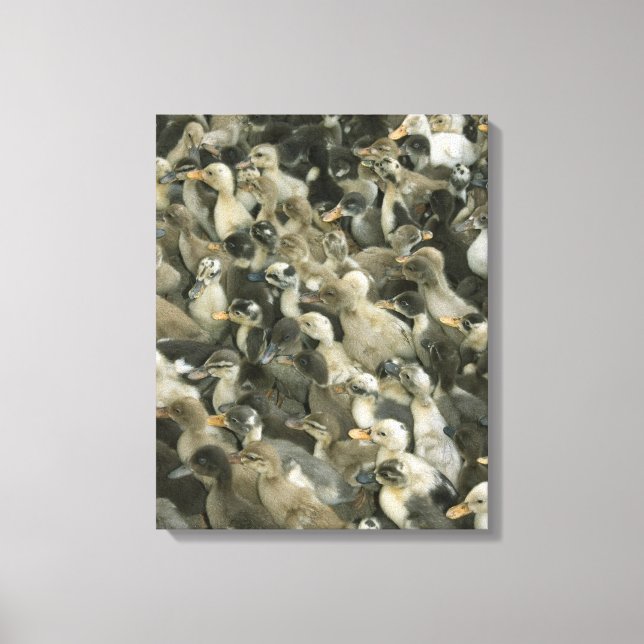 India Canvas Print (Front)