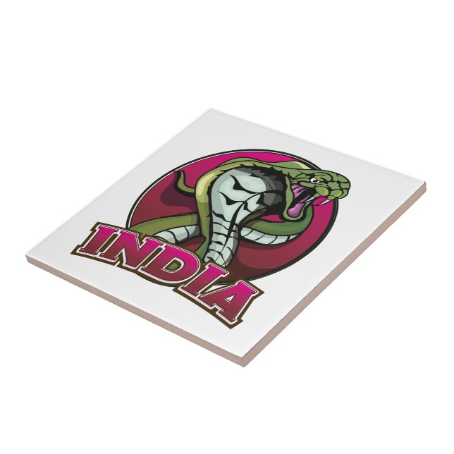 India Ceramic Tile (Side)