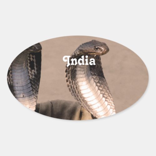 India Cobra Oval Sticker