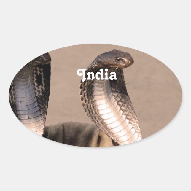 India Cobra Oval Sticker (Front)