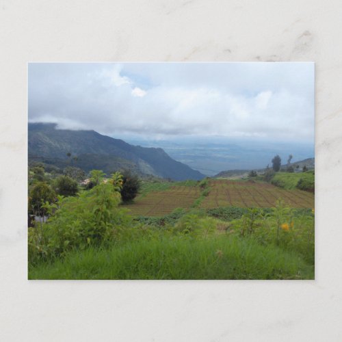 India Countryside Postcard