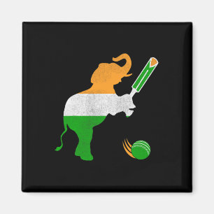 India Cricket 1  Magnet