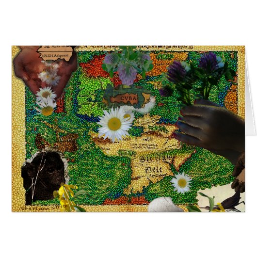 India & Cuba Cards (Front Horizontal)