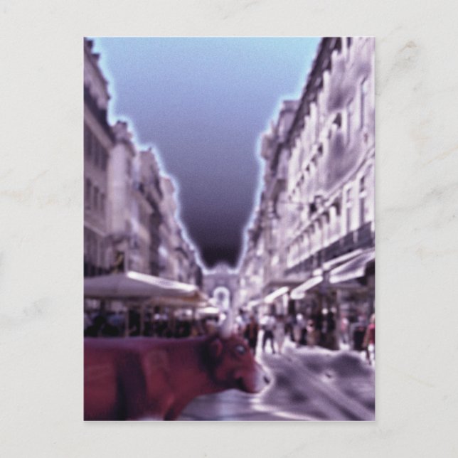 India in Lisbon Postcard (Front)