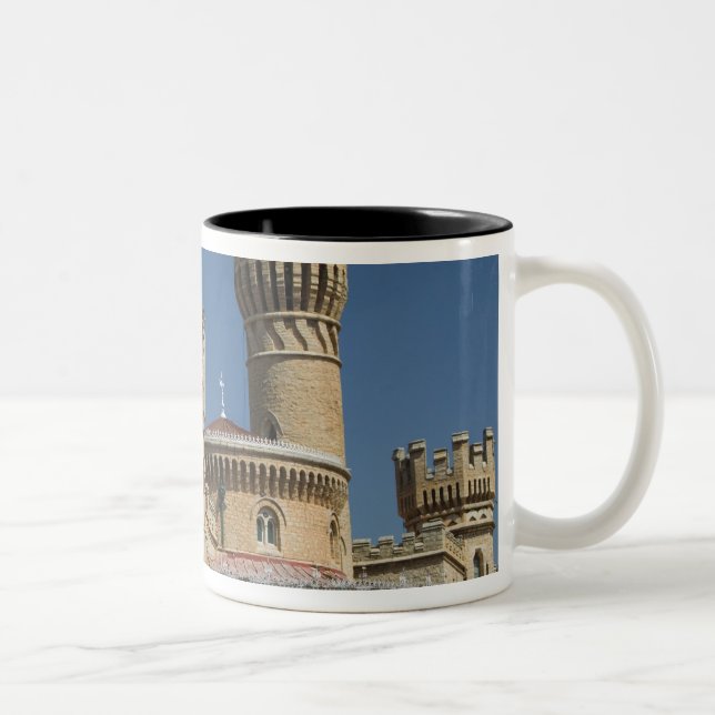INDIA, Karnataka, Bangalore: Bangalore Palace Two-Tone Coffee Mug (Right)