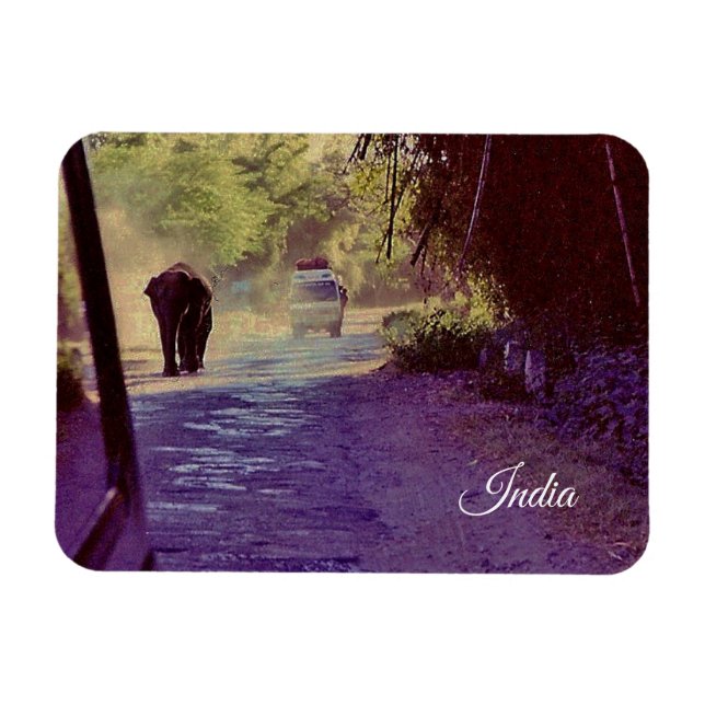 India Magnet (Horizontal)