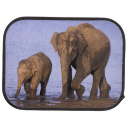 India, Nagarhole National Park. Asian elephant Car Mat