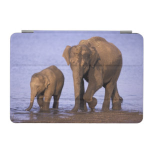 India, Nagarhole National Park. Asian elephant iPad Mini Cover