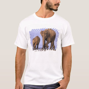 India, Nagarhole National Park. Asian elephant T-Shirt