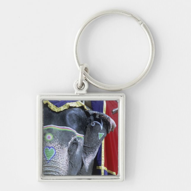 India, Rajasthan, Jaipur. Amber Fort. Keychain (Front)