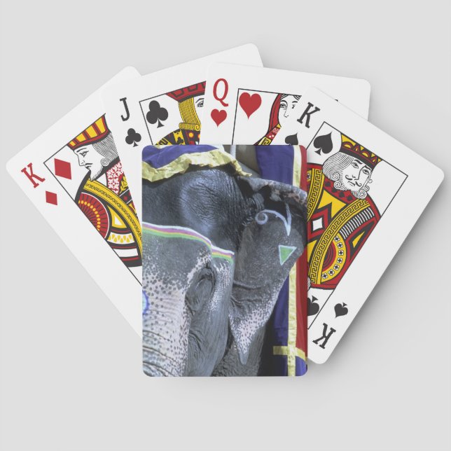 India, Rajasthan, Jaipur. Amber Fort. Poker Cards (Back)