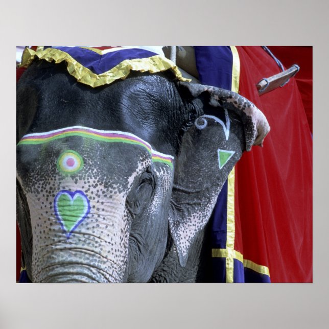 India, Rajasthan, Jaipur. Amber Fort. Poster (Front)