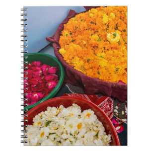 India, Rajasthan, Pipar Notebook