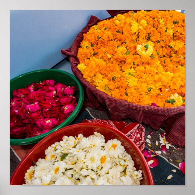 India, Rajasthan, Pipar Poster (Front)