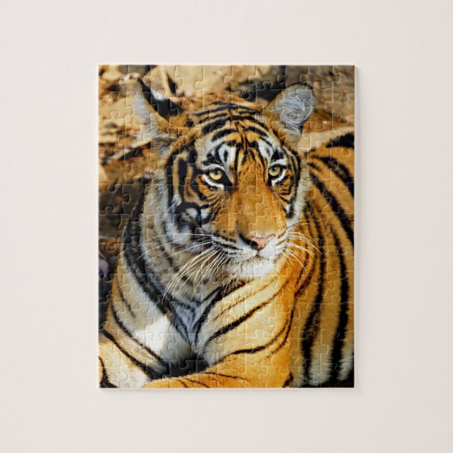 India, Sawai Madhopur, Ranthambore National Jigsaw Puzzle (Vertical)